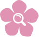 Search this website